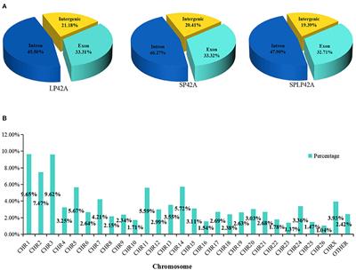 Identification of photoperiod-induced specific miRNAs in the adrenal glands of Sunite sheep (Ovis aries)